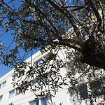 Hotel B&B Hotel Nimes Ville Active, Parking Securise Gratuit Nimes